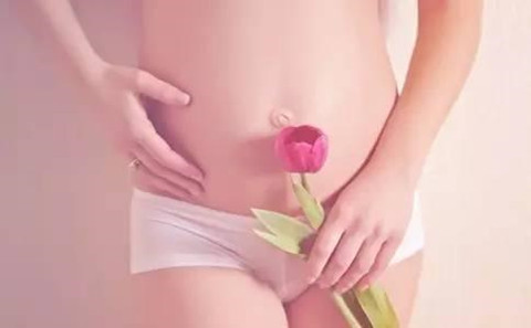手拿一支花的女性