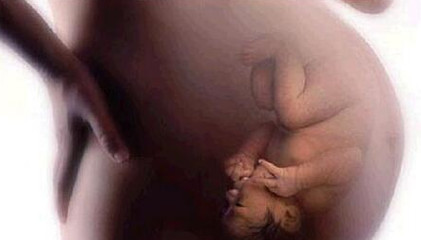 胎儿在妈妈肚子里