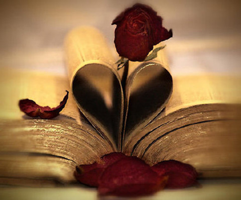书与玫瑰花