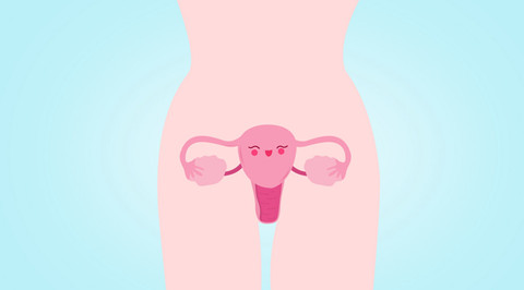 女性私密处卡通图