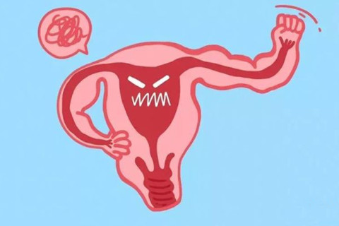 女性生殖器官漫画