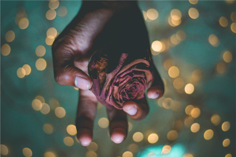 手拿干枯的玫瑰花