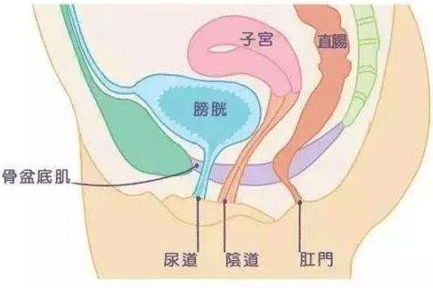 产后恢复