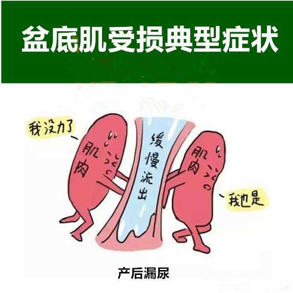 产后咳嗽漏尿的原因