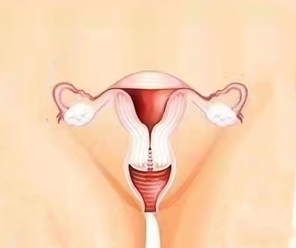 女性私密.jpg