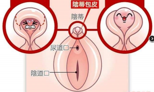 私密整形图.jpg