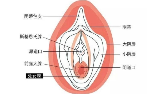 私密图.jpg