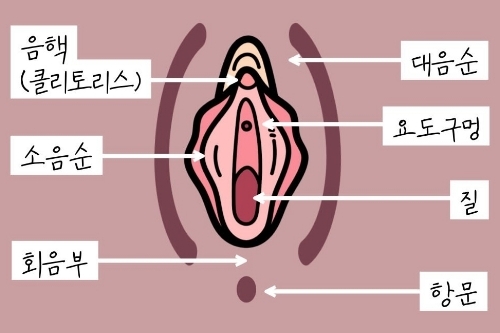 阴蒂敏感度提升手术