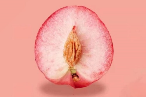 桃核